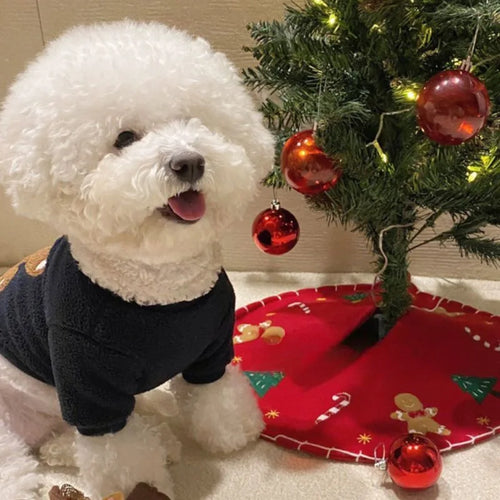 Cozy Bear Bliss Sweater